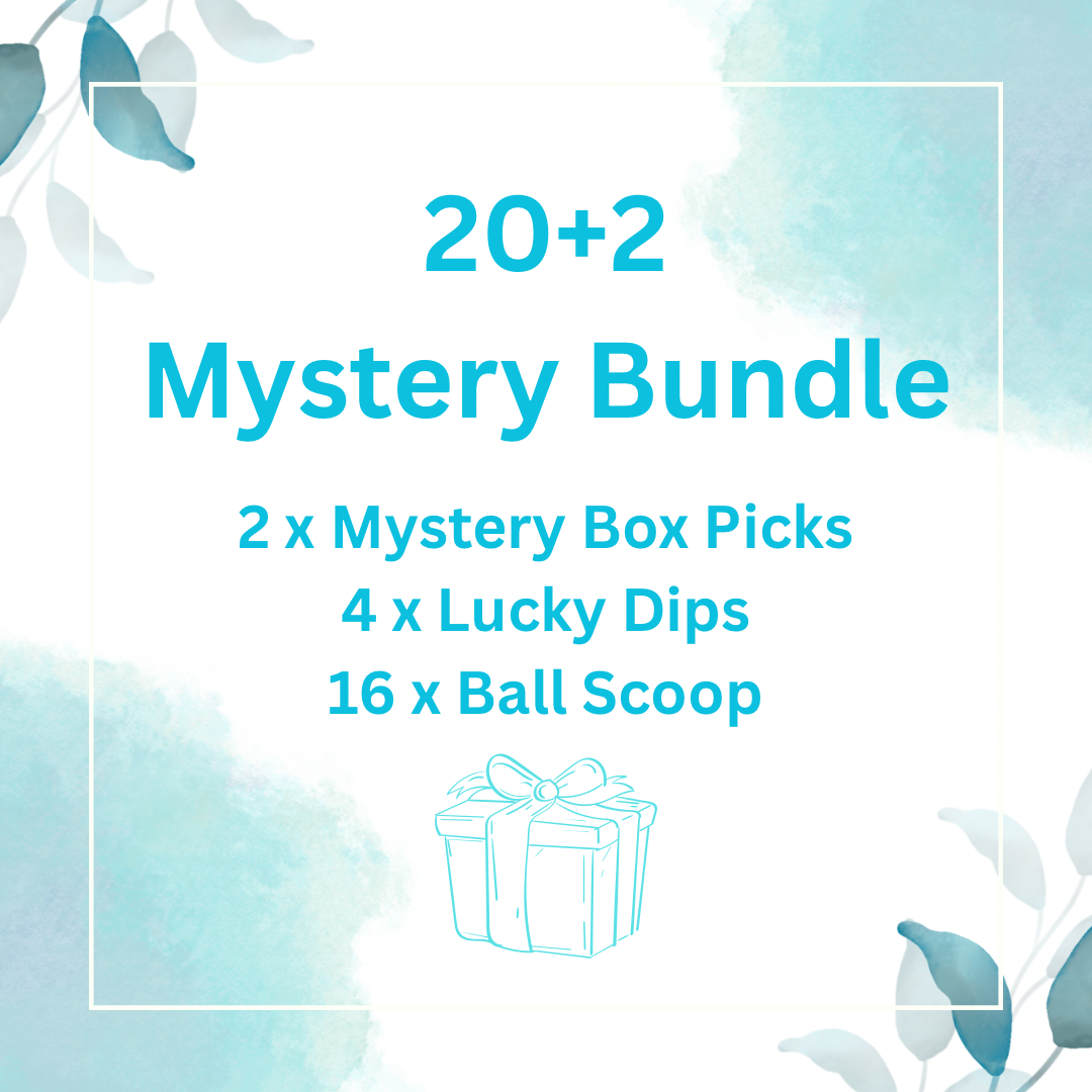 20+2 Mystery Bundle