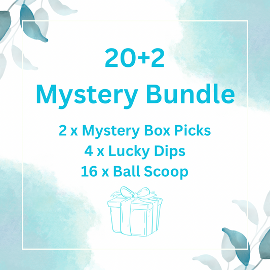 20+2 Mystery Bundle