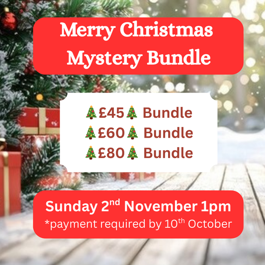 🎄Merry Christmas🎄Mystery Bundle